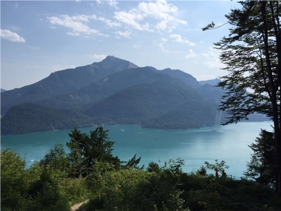 余教授奧地利鄉(xiāng)村行：萬(wàn)科為什么說(shuō)把奧地利小鎮(zhèn)搬回來(lái)？