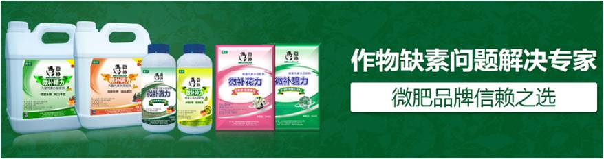 #微肥課堂#為什么葉面肥養(yǎng)分含量相同，效果卻不同？