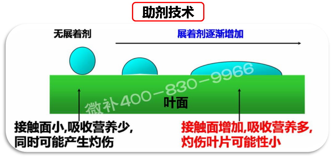 余教授德國(guó)鄉(xiāng)村行：我在德國(guó)為什么不會(huì)點(diǎn)啤酒了？