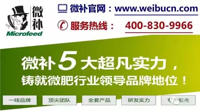 余教授奧地利鄉(xiāng)村行：萬(wàn)科為什么說(shuō)把奧地利小鎮(zhèn)搬回來(lái)？