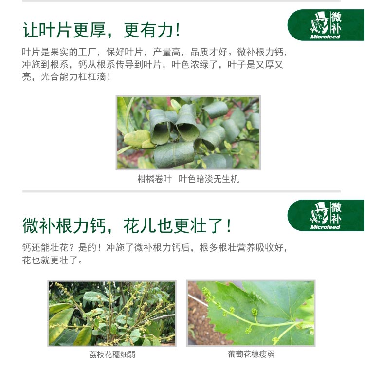 微補(bǔ)根力鈣_03.jpg