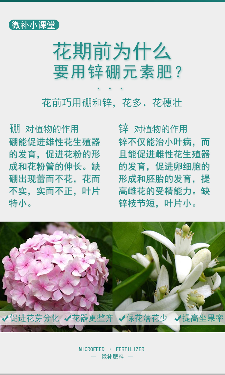 微補(bǔ)花力_03.jpg