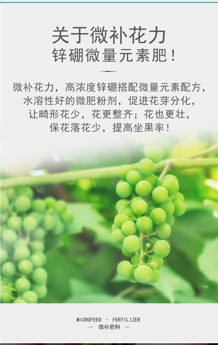 微補(bǔ)花力_05.jpg