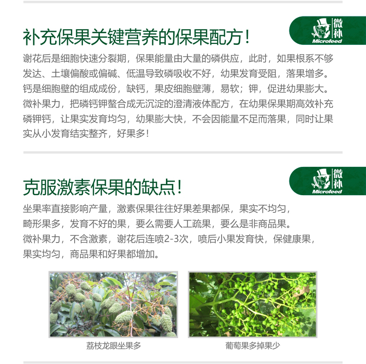 微補果力_02.jpg