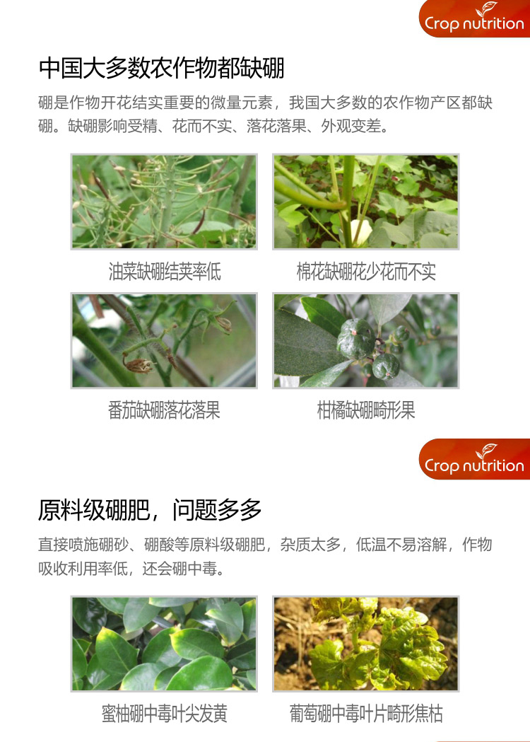 因迪樂有機海藻硼_02.jpg