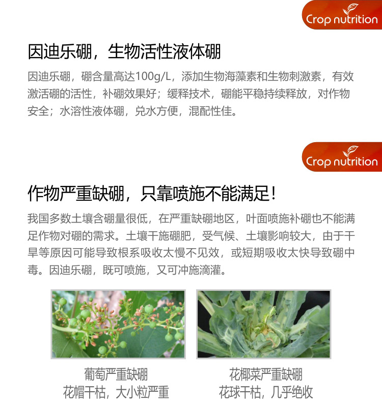 因迪樂有機海藻硼_03.jpg
