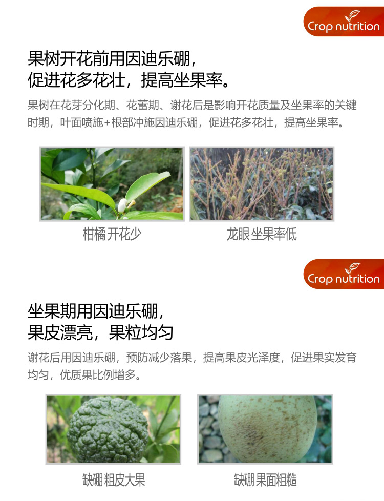 因迪樂有機海藻硼_04.jpg