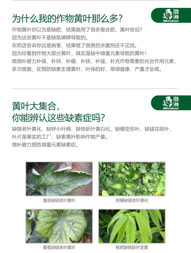 微補碧力【】_02.jpg