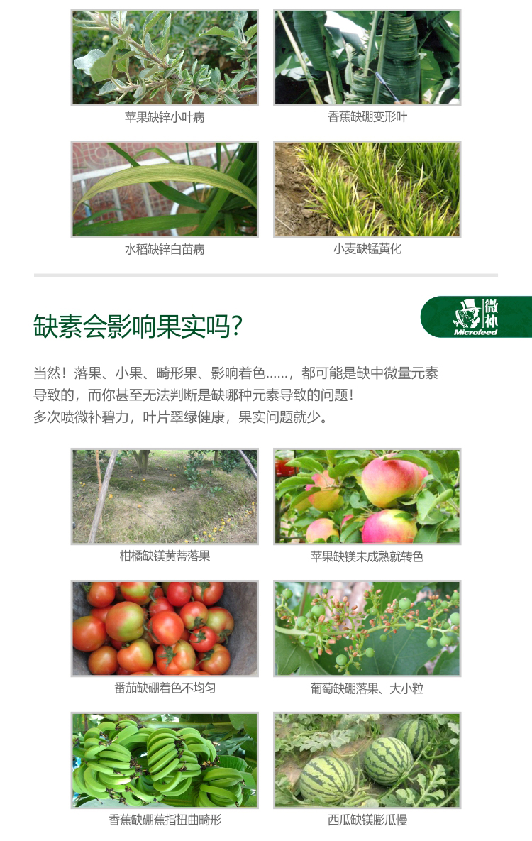 微補碧力【】_03.jpg