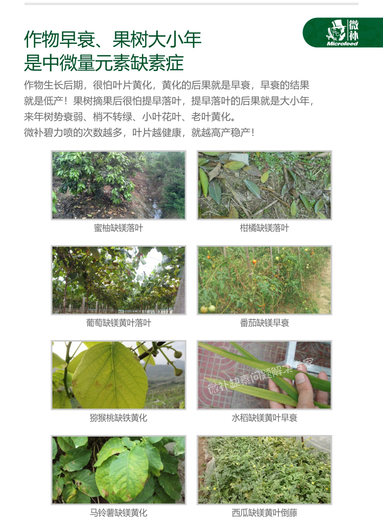 微補碧力【】_04.jpg