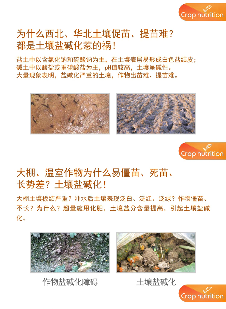 因迪樂(lè)有機(jī)鹽堿土調(diào)理水溶肥1_02.jpg