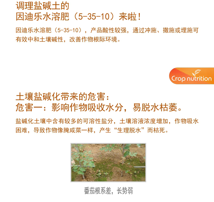 因迪樂(lè)有機(jī)鹽堿土調(diào)理水溶肥1_03.jpg