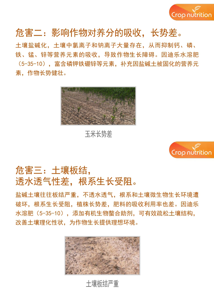 因迪樂(lè)有機(jī)鹽堿土調(diào)理水溶肥1_04.jpg