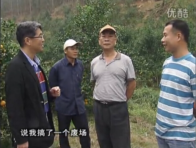 20160118珠江臺搖錢樹：貢柑用微補全年營養(yǎng)方案，黃樹翻身還高產(chǎn)增果