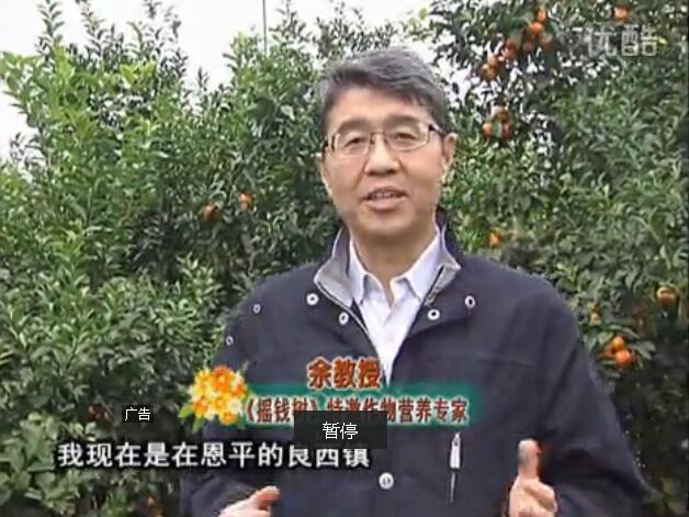 20160229珠江臺(tái)搖錢(qián)樹(shù)：柑橘用微補(bǔ)全年方案，黃樹(shù)恢復(fù)、果品質(zhì)好賣(mài)價(jià)高