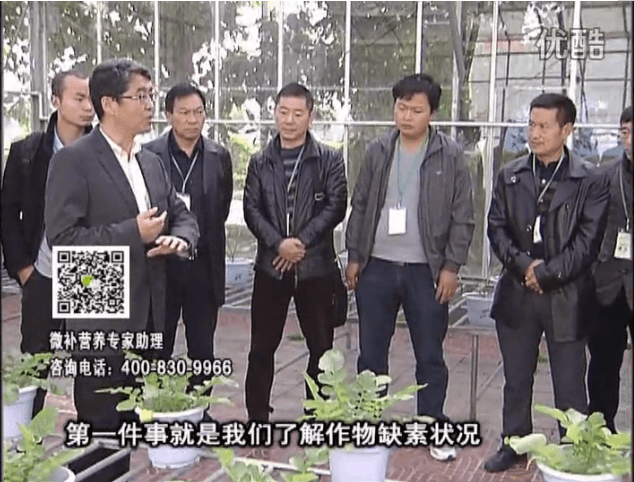 20160418珠江臺(tái)搖錢(qián)樹(shù)：和重慶種植業(yè)主走進(jìn)微補(bǔ)，探秘微補(bǔ)生產(chǎn)研發(fā)技術(shù)