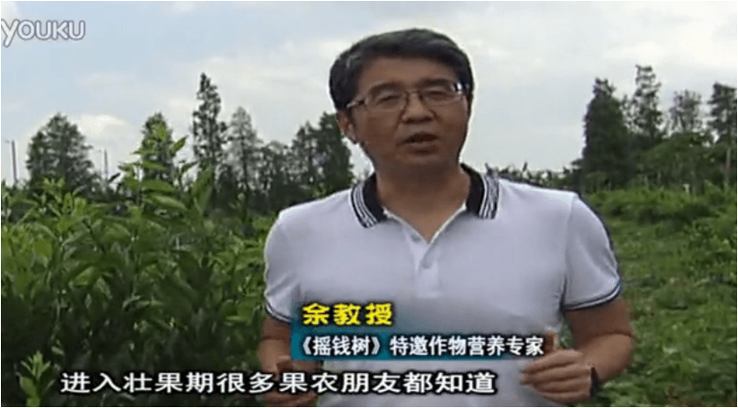 20160620珠江臺(tái)搖錢(qián)樹(shù)：柑橘淋微補(bǔ)調(diào)力、噴蓋力+壯力，調(diào)酸壯長(zhǎng)勢(shì)、膨果防裂好