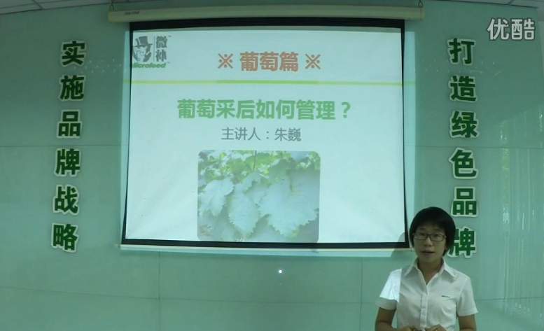 葡萄-采后恢復樹勢、來年花芽分化好.微補講座