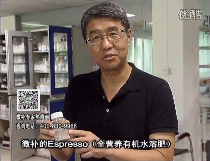 20160822珠江臺(tái)搖錢(qián)樹(shù)：柑橘秋梢淋沖因迪樂(lè)精華粉，補(bǔ)充有機(jī)營(yíng)養(yǎng)，健壯果樹(shù)