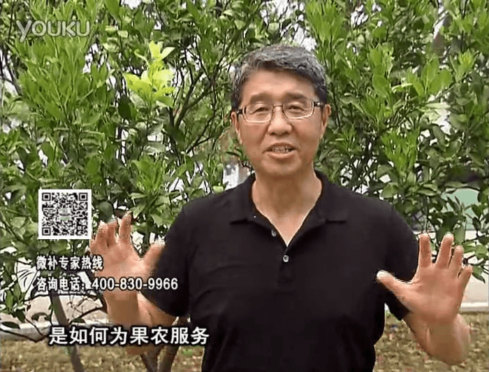 20160912珠江臺搖錢樹：針對果場面積、缺素營養(yǎng)、設施管理、投入產出，微補做個性化定制服務