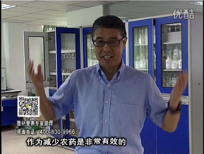 20161024珠江臺搖錢樹：種植作物調酸、平衡營養(yǎng)、提高抗病力能大大降低病害發(fā)生和農藥使用量