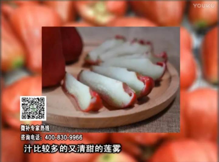 20170424珠江臺(tái)搖錢(qián)樹(shù)：蓮霧淋沖微補(bǔ)水肥，壯長(zhǎng)、提高果實(shí)品質(zhì)賣(mài)價(jià)