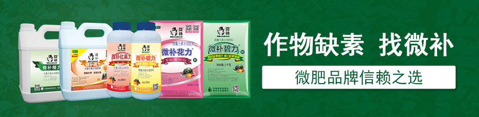 水溶肥招商