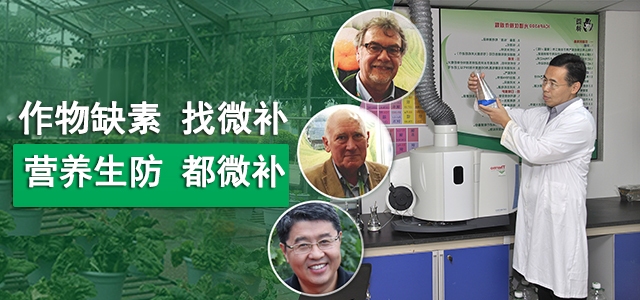 作物缺素找微補營養(yǎng)生防都微補