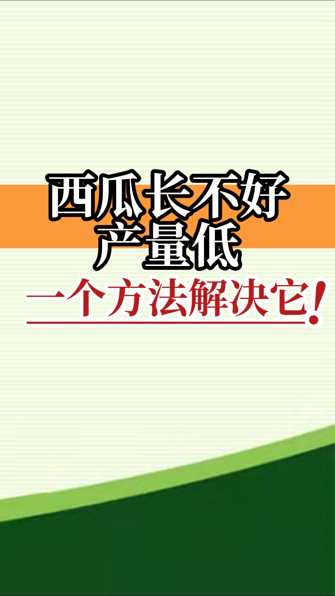 西瓜長不好產(chǎn)量低？